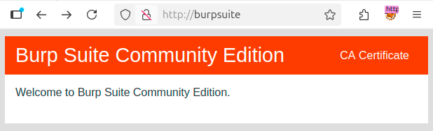 burp_ca_page.png