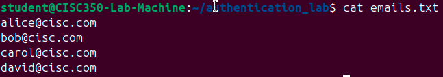 emails_txt_file.png