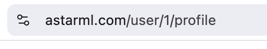 idor-url-format-profile.png