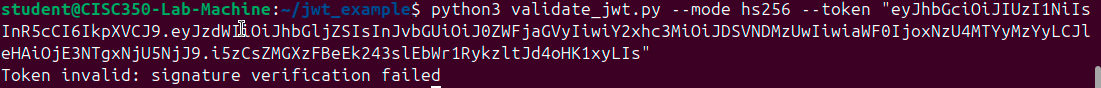 jwt_with_alg_ver_failed.png