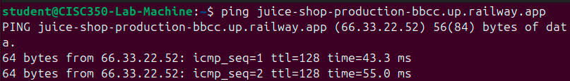 ping_capture.png