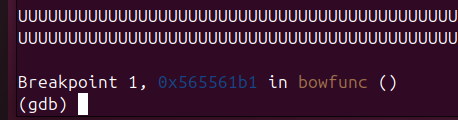 breakpoint_execution.png