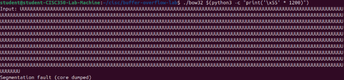 buffer-overflow-crash.png