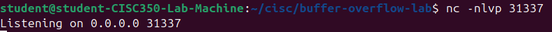 listener_running.png