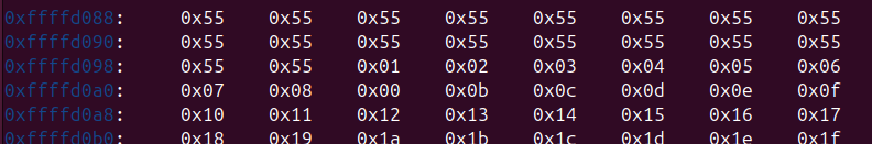 memory_inspection_4.png