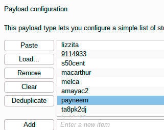 payload_password_loaded.png