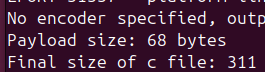 shellcode_size_initial.png
